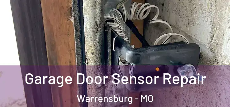 Garage Door Sensor Repair Warrensburg - MO
